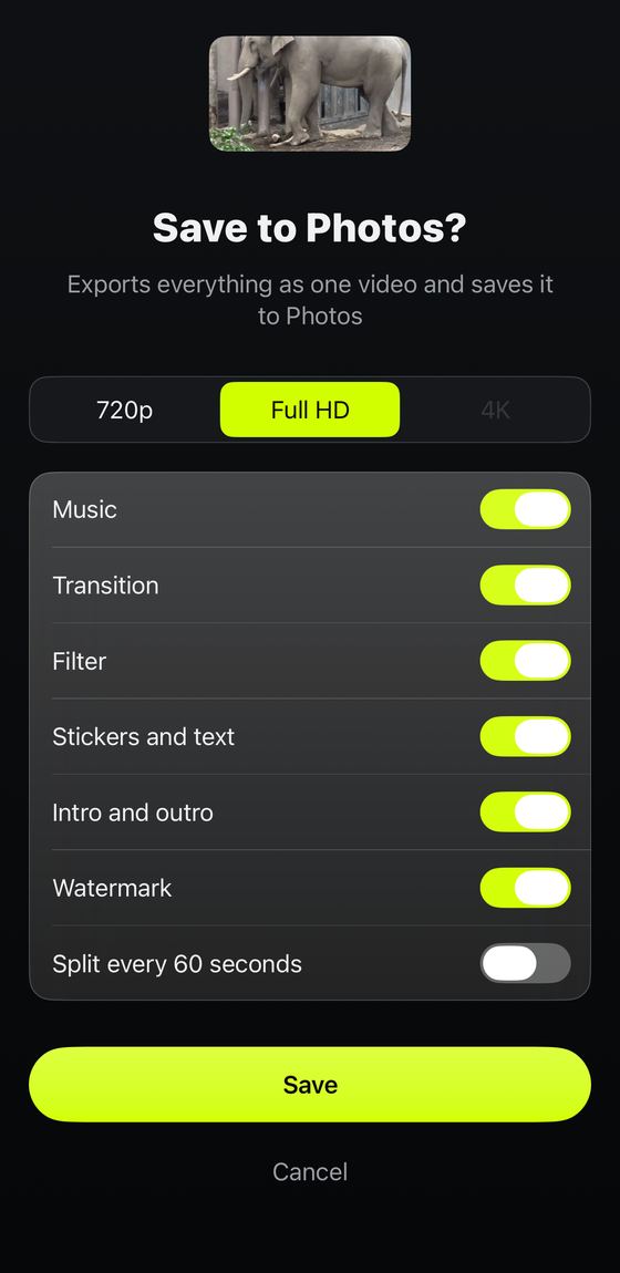 Export screen: choosing a resolution and options before saving